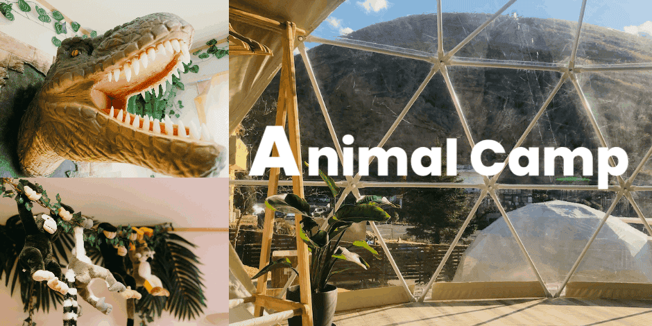 アニマルキャンプ『Animal camp』