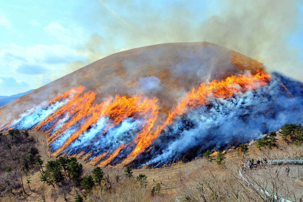 ２月11日に伝統行事「大室山山焼き」が行われます